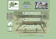 Fox Hill Sporthorses