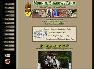 Morning Shadows Farm.