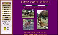 Violet Crown Stables